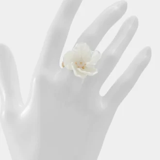 Anello Foiwia