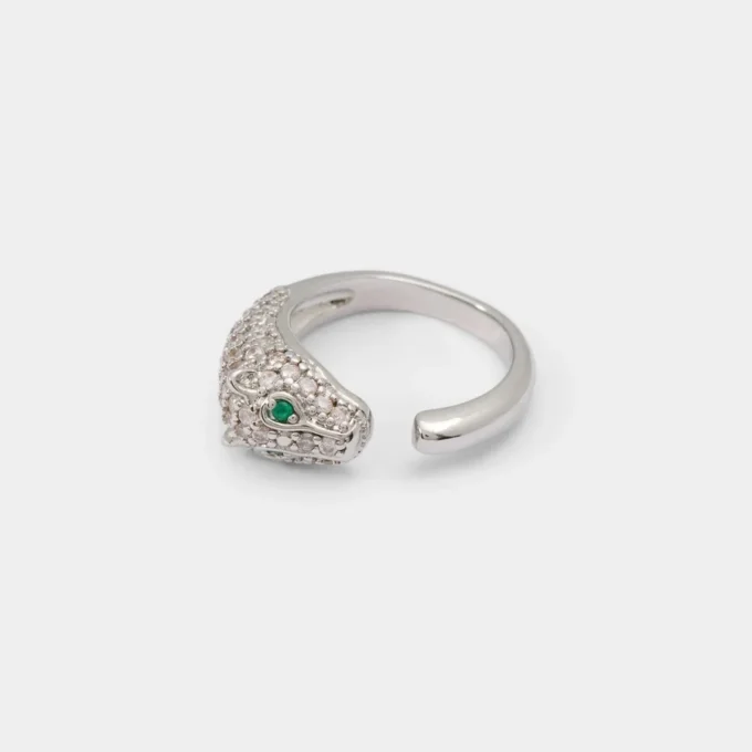 Anello Roarica Anello Roarica