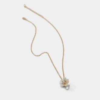 Collana Alexianie