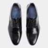 Scarpa Derby Harald