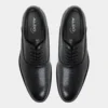 Scarpa Oxford Braz